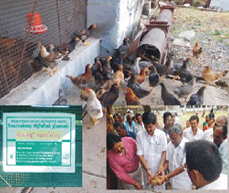 Daily Market Information DMI